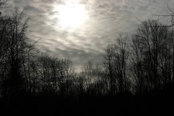 Prachtig Uitzicht Natuur — Stockfoto