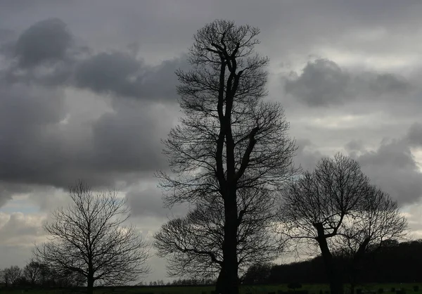 Schöne Aussicht Auf Die Natur — Stockfoto