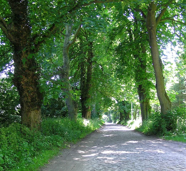 Prachtig Uitzicht Het Natuurlandschap — Stockfoto