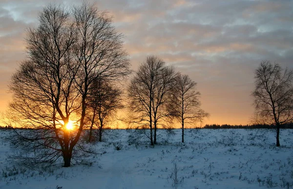 Schöne Aussicht Auf Die Natur — Stockfoto