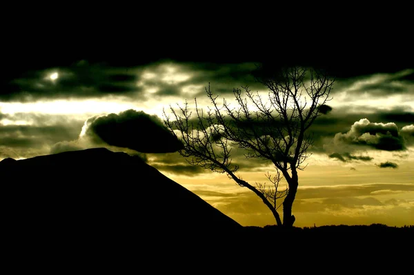 Wilde Naar Rechts Gaan Maar Denk Dat Wolken Het Beeld — Stockfoto