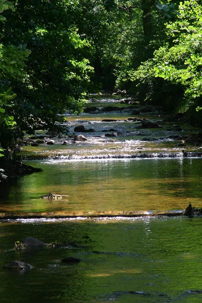 Foto Naturaleza Ambiente Aire Libre — Foto de Stock