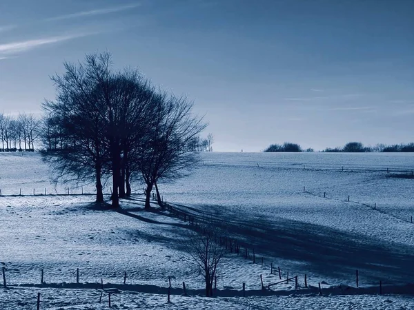 Вид Зимнюю Сцену — стоковое фото