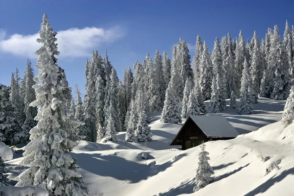 Stallhofen Mlltal Carinzia — Foto Stock