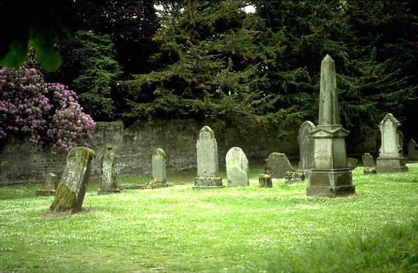 Obraz Starého Hřbitova — Stock fotografie
