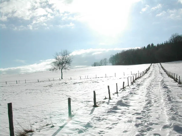 Tirando Caminhada Hoje Neve Ainda Não Quer Dar Lugar — Fotografia de Stock