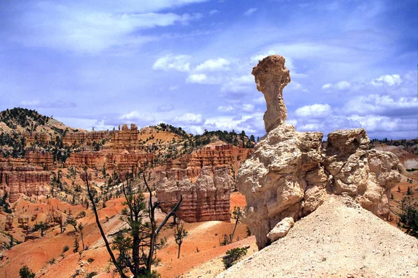 Canyon Landscape Nature Geology Formation — Stock Photo, Image