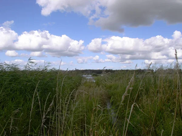 Prachtig Uitzicht Buitenwereld — Stockfoto