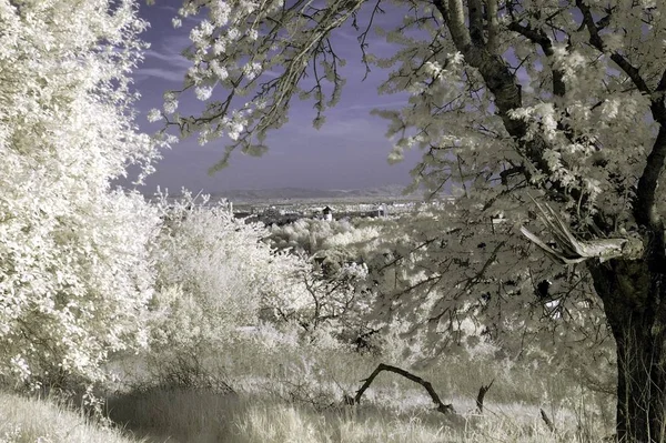 Afkomstig Uit Slechte Soden April 2004 Nikon D70 Met Panchromator — Stockfoto