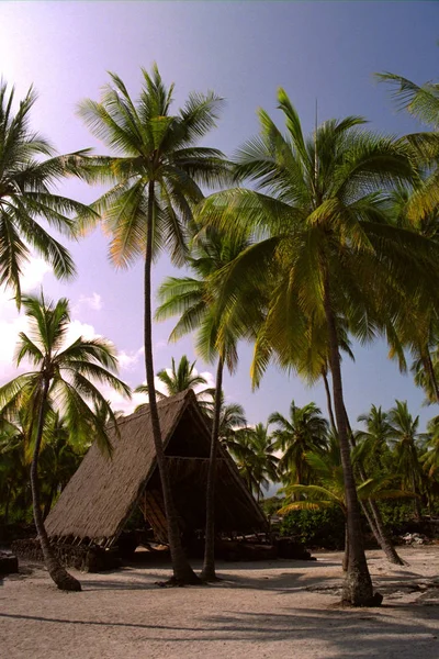 Hermosa Vista Naturaleza — Foto de Stock