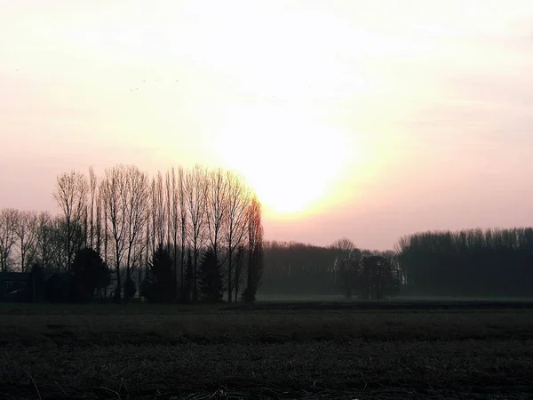 Sunrise Lower Rhine — Stock Photo, Image