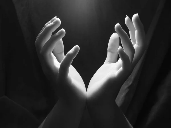 Woman Hand Holding Black White — Stock Photo, Image