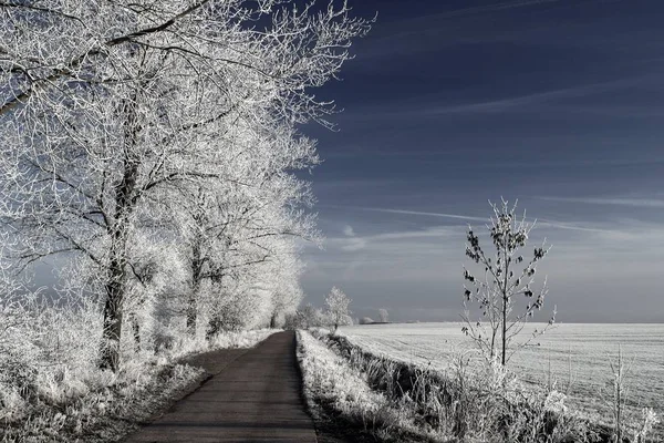 Schöne Verschneite Winterlandschaft — Stockfoto