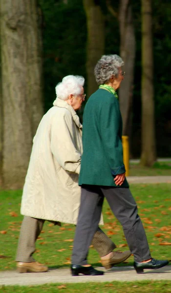 Spaziergang Park — Stockfoto