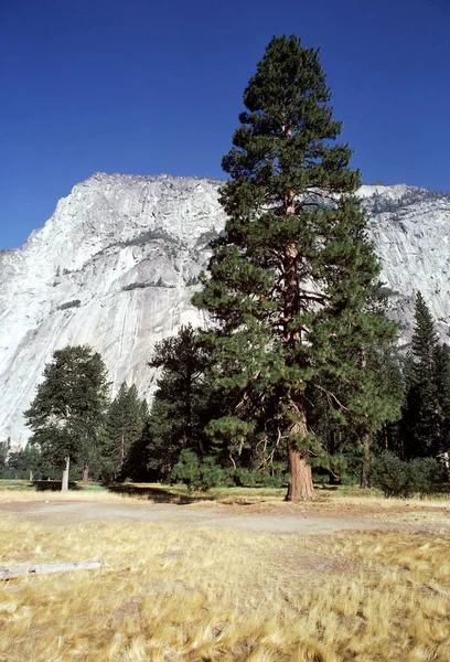 Parque Nacional Yosemite Ponto Glaciar — Fotografia de Stock