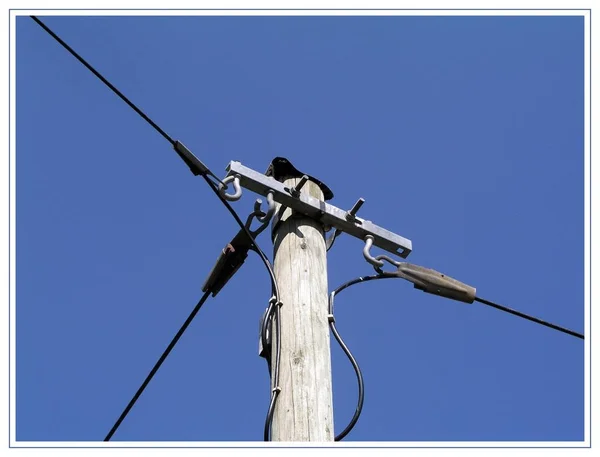 Close Zicht Elektrische Kabels — Stockfoto