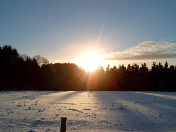 Hiver Dans Haut Harz 2004 — Photo