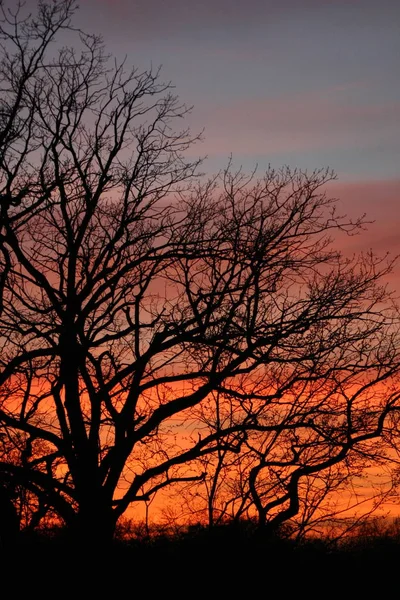 Sunset Berlin — Stock Photo, Image