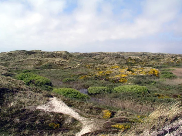 Malerischer Blick Auf Dünen Selektiver Fokus — Stockfoto