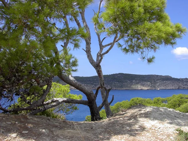 Noordwestkust Van Majorca Tegenover Dragonera — Stockfoto