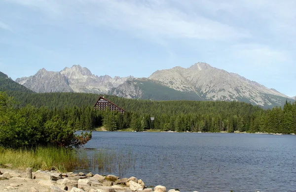 Beautiful View Nature Scene — Stock Photo, Image