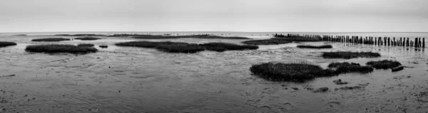 Prachtig Uitzicht Het Natuurlandschap — Stockfoto