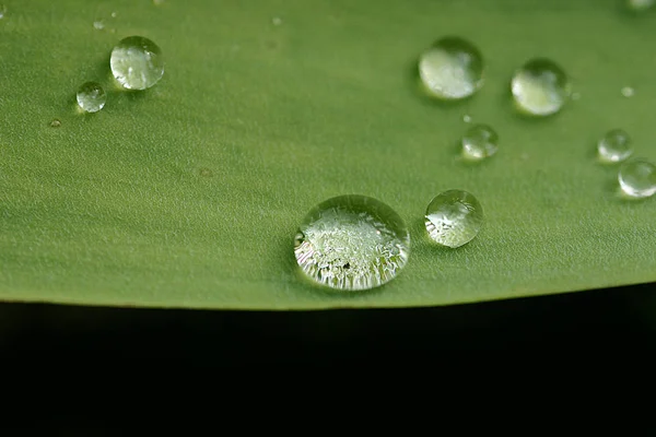 Mais Toute Façon Même Une Photo Goutte Moi Également Été — Photo