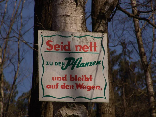 Hamburger Wald — Stockfoto