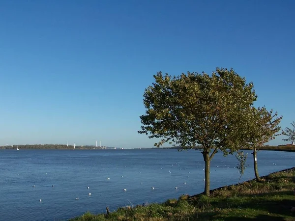 Hermosa Vista Del Paisaje Marino — Foto de Stock