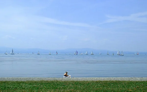 Hermosa Vista Naturaleza Escena — Foto de Stock