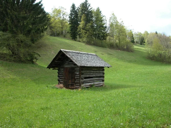 Malý Dřevěný Domek Lese Lorraine Francie — Stock fotografie