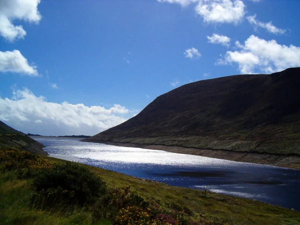 Été Nature Mer Littoral — Photo