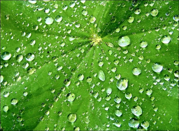 水滴彩色背景 — 图库照片