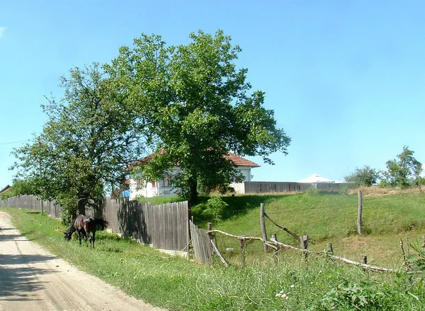 Rumunsko Země Jihovýchodní Evropy Známá Pro Zalesněnou Oblast Transylvánie — Stock fotografie