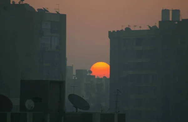 Sonnenaufgang Antennenwald Von Kairo — Stockfoto