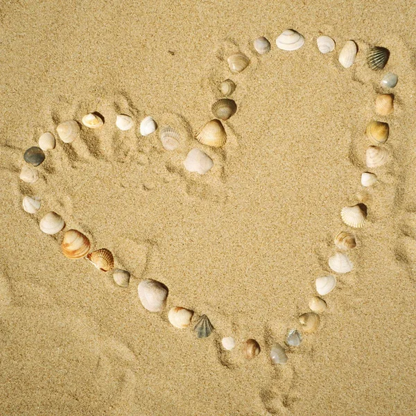 Kuma Saplanmış Kalp Şeklinde — Stok fotoğraf