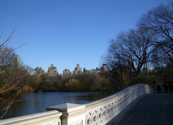 Vue Panoramique Paysage Urbain New York Etats Unis — Photo