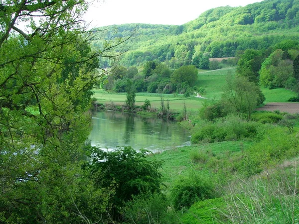 Річка Природі Поверхня Води — стокове фото