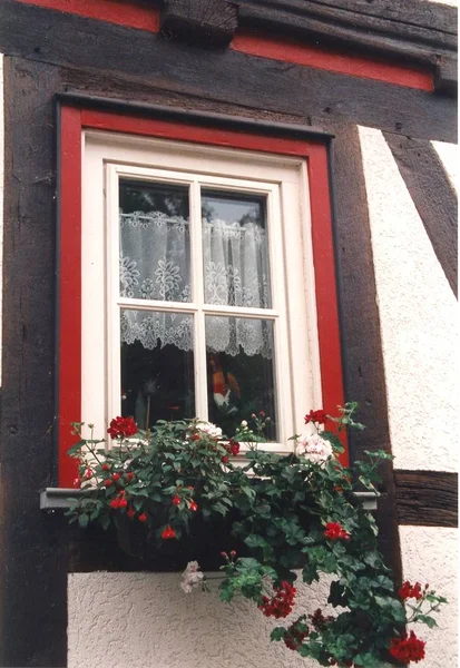 Fenêtre Maison Colombage — Photo