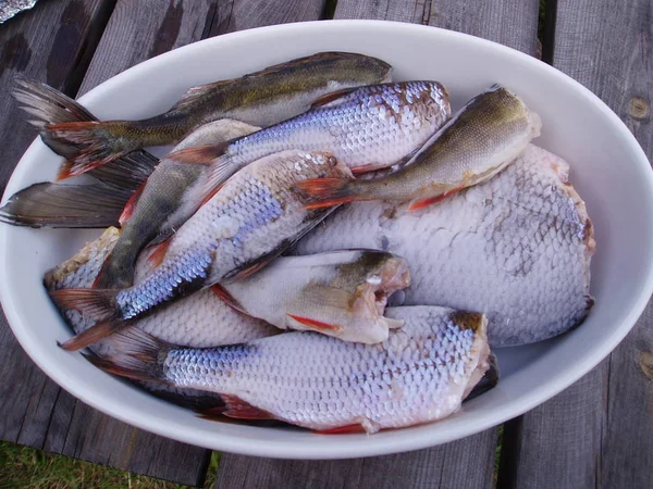 Extensive Fishing Trip Brought Good Fish Meal Southern Sweden 2004 — Stock Photo, Image