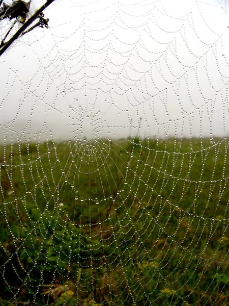 Morning Photographed Fog Unfortunately Another Perspective Possible — Stock Photo, Image