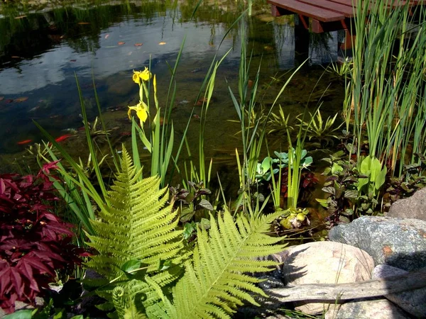 Heimischen Garten Enthalten — Stockfoto