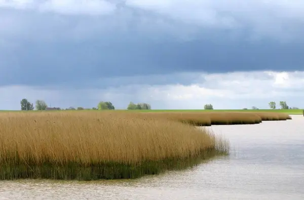 Schöne Aussicht Auf Die Natur — Stockfoto