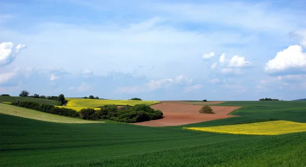 Když Jsem Stál Před Tímto Davem Myslel Jsem Vidím Obraz — Stock fotografie