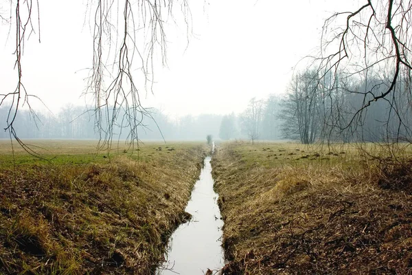 Malebný Výhled Venkovní Scénu — Stock fotografie