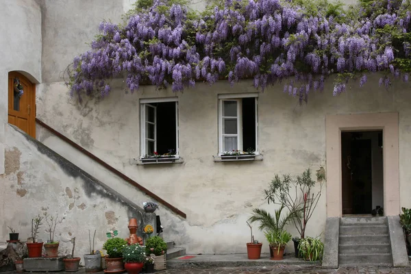 Krems Stein Der Wachau Mintha Megállt Volna Idő Jederhinterhofnak Saját — Stock Fotó