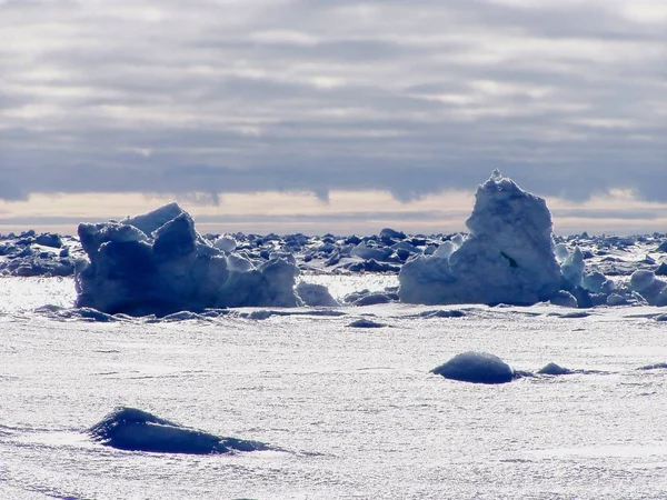 Photographié Dans Weddelmeer Lors Voyage Recherche Dans Antarctique Photo Été — Photo