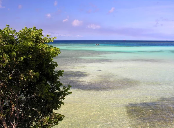 Aruba Spanska Lagunen — Stockfoto