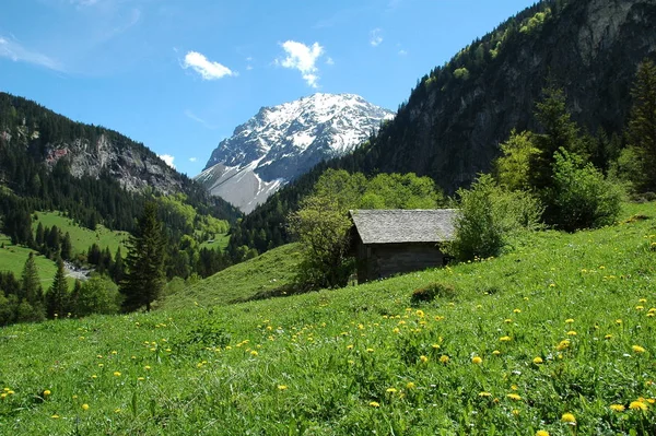 Schöne Aussicht Auf Die Natur — Stockfoto