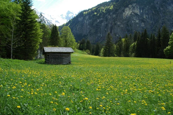 Alpen Zijn Het Hoogste Meest Uitgebreide Bergketen Systeem Dat Geheel — Stockfoto